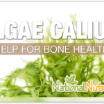 Algaecal For Bone Support