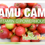 Camu Camu: A Rich Source of Vitamin C
