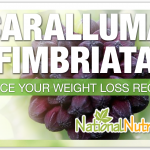 Caralluma Fimbriata: Benefits & Uses