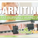L Carnitine Supplement Uses & Benefits