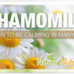 Chamomile: An Herb For Relaxation