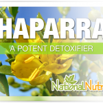 Chaparral As A Health Supplement