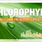 Chlorophyll Drops & Other Supplement Varieties