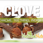 Clove Benefits For Good Health