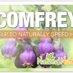 Comfrey Benefits, Uses & Supplements