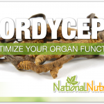 Cordyceps Mushroom Powder
