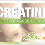 Is Creatine The Best Preworkout?