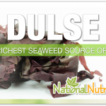 Dulse: Discover The Healing Power of Algae