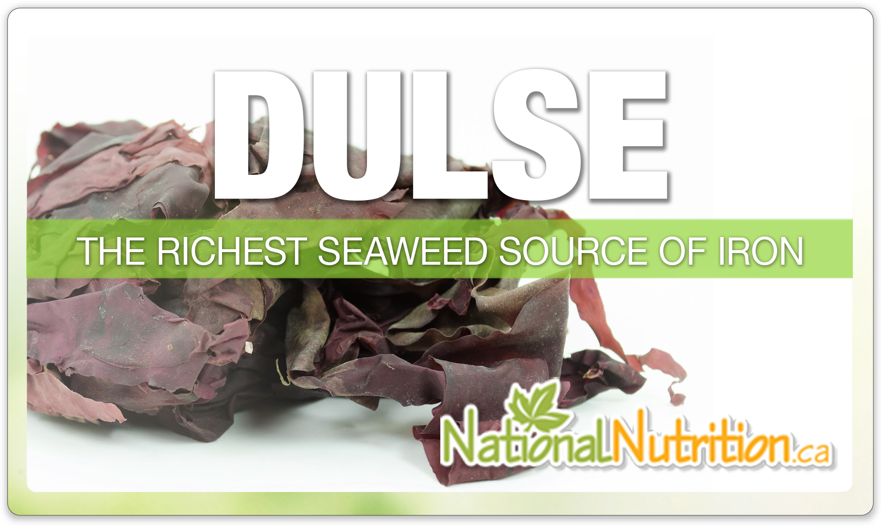 Dulse  - National Nutrition Articles
