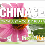 Echinacea Supplement Uses, Benefits & More