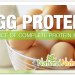 Egg Protein: Exploring Its Rich Nutrient Profile