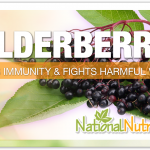 Elderberry Benefits: A Natural Cold & Flu Remedy