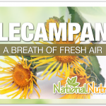 Elecampane Supplement Benefits