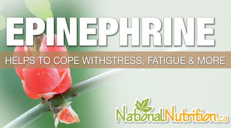 2015/01/Epinephrine.jpg