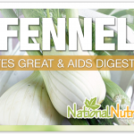 Fennel Benefits: Exploring This Medicinal Herb