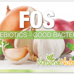 Fos Prebiotics: How They Support Gut Health