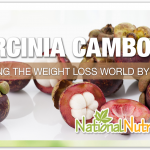 Garcinia Benefits For Health & Weight Loss