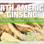 North American Ginseng