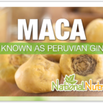 Discover The Best Maca Root Supplement Options