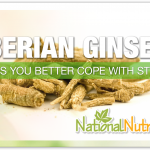 Siberian Ginseng (Eleuthero)