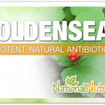 Goldenseal Benefits For Better Health