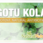 Gotu Kola Benefits & Uses