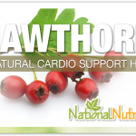 Hawthorn Berry: Uncovering The Benefits of This Medicinal Herb