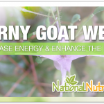 Horny Goat Weed: An Herb For Sexual Health