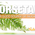 Horsetail Benefits, Uses & Supplements