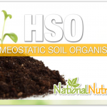 Homeostatic Soil Organisms
