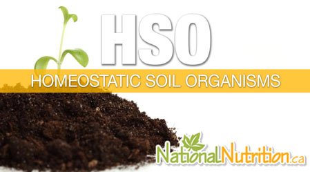 2015/01/HSO_Homeostatic_Soil_Organisms.jpg