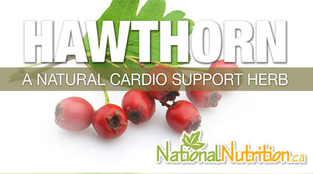 2015/01/Hawthorn_berry_Health_Benefits.jpg