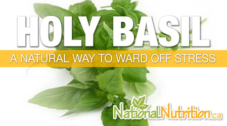 2015/01/Holy_Basil_Tulsi_Health_Benefits.jpg