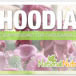 Hoodia: A Weigh Loss Supplement