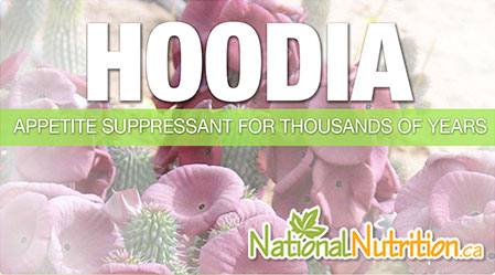 2015/01/Hoodia_weightloss_Health_supplement.jpg