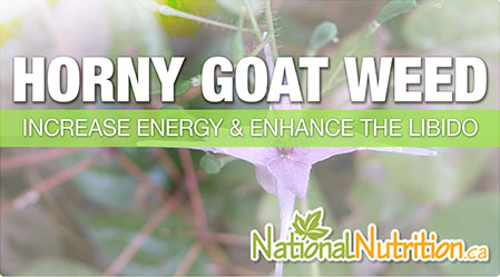 2015/01/Horny_Goat_Weed_Energy_Health_Benefits.jpg