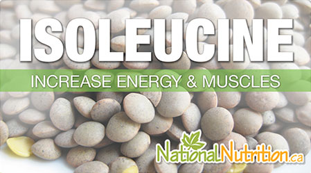 2015/01/Isoleucine_Health_Benefits.jpg