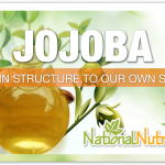 Jojoba Oil - Versatile and Natural Skin Care