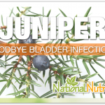 Juniper