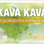 Explore Kava Root: An Herbal Remedy