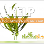 Kelp Benefits For Good Health