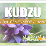 Kudzu: An Herbal Remedy For Good Health