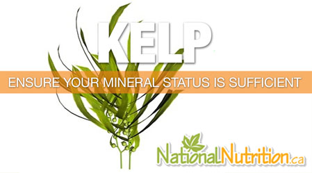 2015/01/Kelp_Mineral_Health_Benefits.jpg