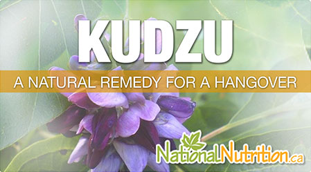 2015/01/Kudzu_Hangover_Liver_Health_Benefits.jpg