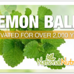Lemon Balm Benefits & Uses