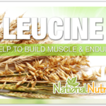 Leucine Benefits & Uses