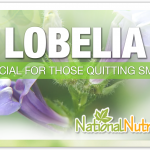 Lobelia: An Herbal Remedy For Good Health