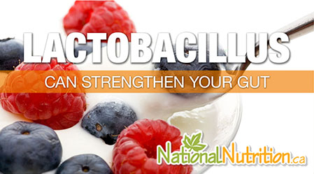 2015/01/Lactobacillus_Probiotic_Health_Benefits.jpg