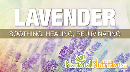 2015/01/Lavender_Health_Benefits.jpg