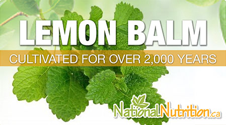 2015/01/Lemon_Balm_-Melissa_Officinalis_Health_Benefits.jpg